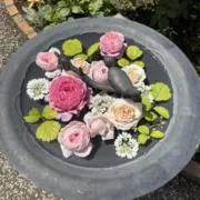 ぶんたの画像