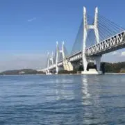 Kappyの画像