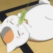 なみの画像