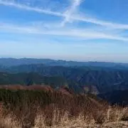 コタスケの画像
