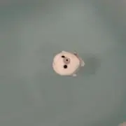 みるむの画像
