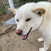bako0908の画像
