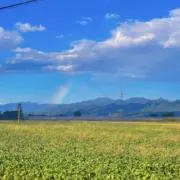yomiha0709の画像