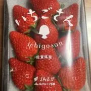 りんのっけの画像