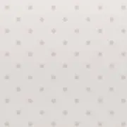 きゃんの画像