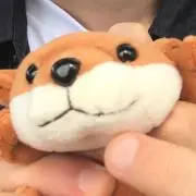 kawausoの画像
