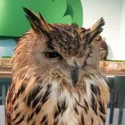フクフク★☆の画像