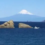 ムサオギ