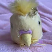 ゆっきぃの画像