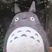 なーの画像