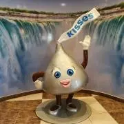 Happyの画像
