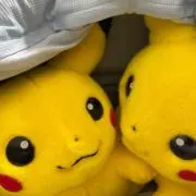 ちゃーみーの画像