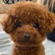 たぁー！！