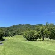 ぽんたの画像