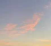 れんの画像