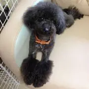 にこ