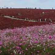 はな