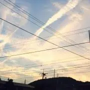 はるの画像