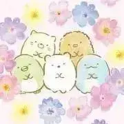 ⭐︎sumikoの画像