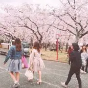 ミナミ