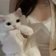 ふぁるの画像