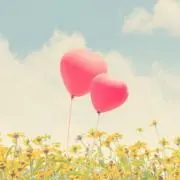 RR✾の画像