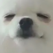 断捨離中＊の画像