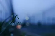 ななし★の画像