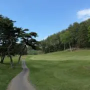 ゆの画像