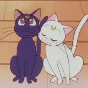 にもの画像