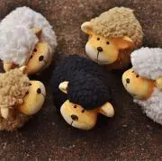 もふこの画像