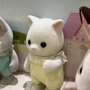yamaの画像