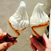 のこのこの画像