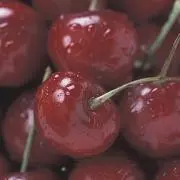 aa