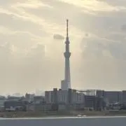 mattya_の画像