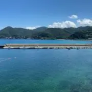 竜平の画像