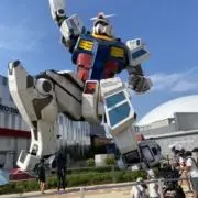tomの画像