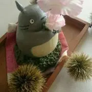 はるの画像