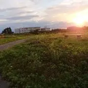 tehotehoの画像