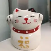 クニクニ