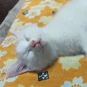 みずまろ。☆プロフ必読☆