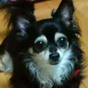 ☆リーナ☆