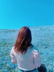 aoの画像