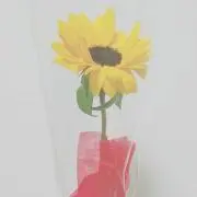 ＫH