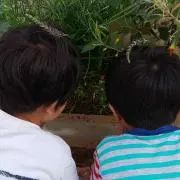 チロの画像
