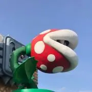 モカすけ