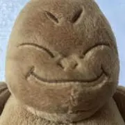 のりくんの画像