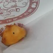ちゃむの画像