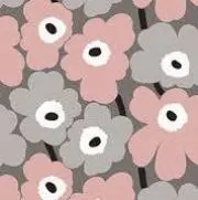 a.sの画像