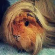 happytanの画像